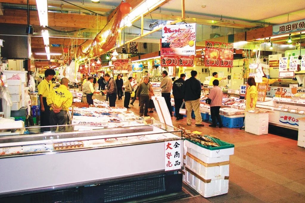 🍣 마이즈루항 토레토레센터 휴게소 (미치노에키 마이즈루코 토레토레센타) 이미지 3